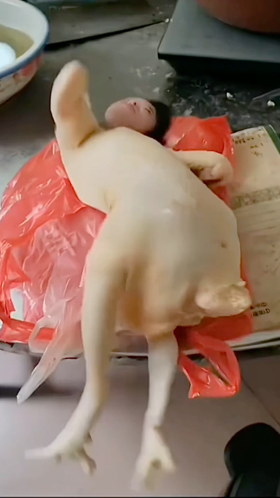 Chinese chicken #love #snake #comedy #news #live #ghpoki